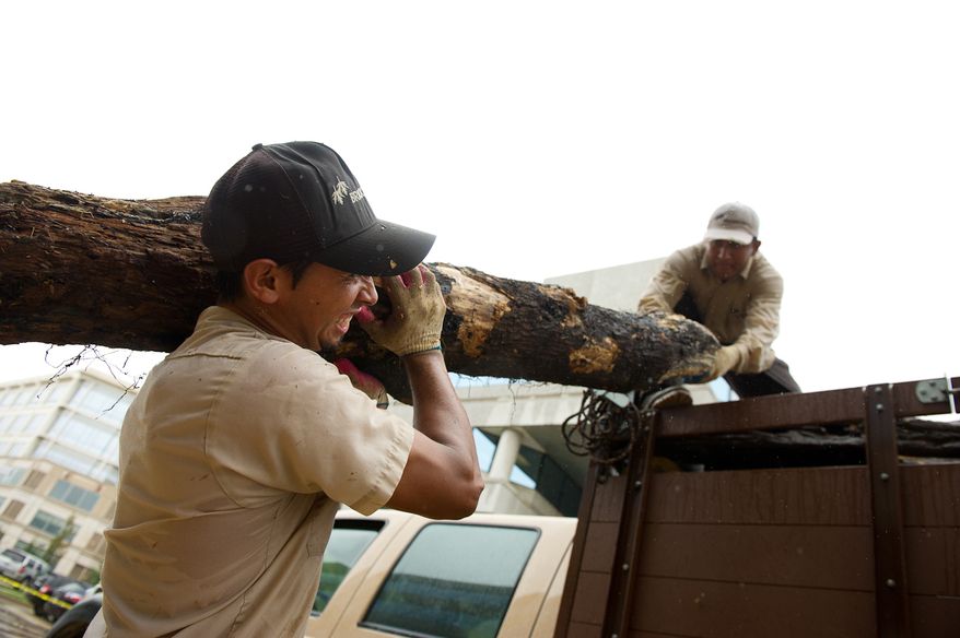 Melvin Coto (left) and Jose Billalovos, employees with a clean-up and landscaping company, remove tree limbs and debris from a parking lot on Eisenhower Avenue in Alexandria, Va., on Sept. 9, 2011. The lot was flooded after heavy rains pounded the region the previous night. (Andrew Harnik/The Washington Times)