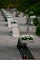 PENTAGON_0597