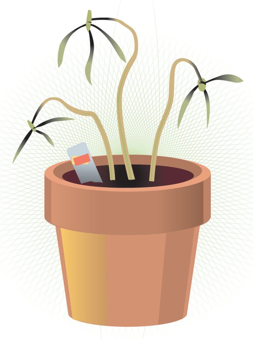Illustration by Linas Garsys for The Washington Times