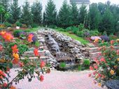 20110929-092626-pic-591228766.jpg