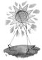 B3-SOLAR-MARK-WEBER-GFW.jpg