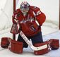 Blackhawks Capitals H_Hasc(1).jpg