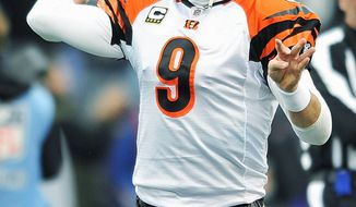 Carson Palmer&#39;s best season was in 2005, when he passed for 3,836 yards anbd 32 touchdowns in leading Cincinnati to the AFC North title. (Associated Press)