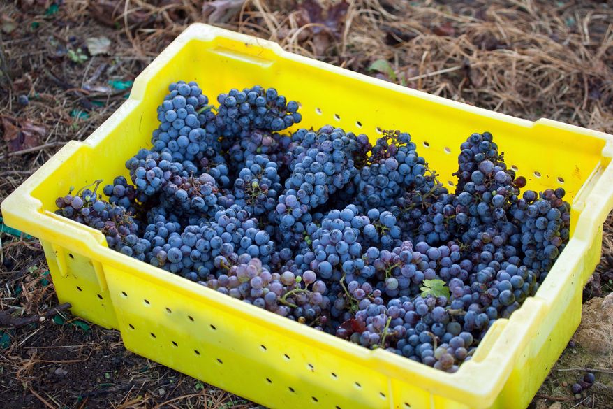 In difficult growing years, winemakers have to get creative, often by blending mediocre wines with better vintages. (Steve Hay/Special to The Washington Times)