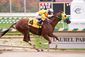 Rapid Redux 19 Straight #1.jpg