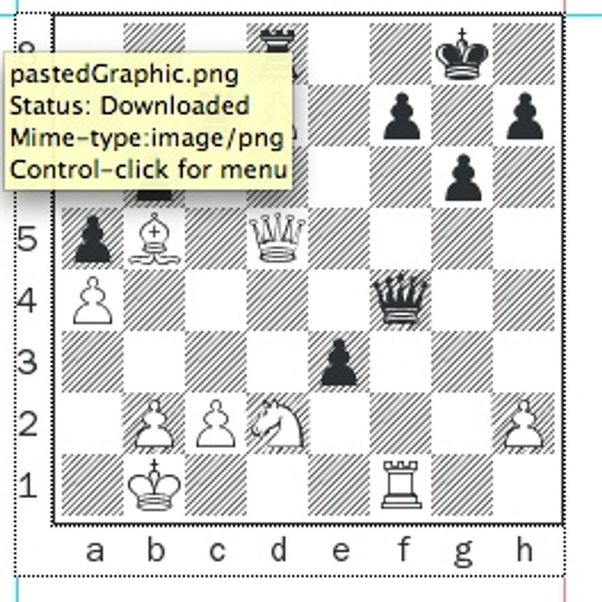 Efimenko-Forster after 27. Rf1.