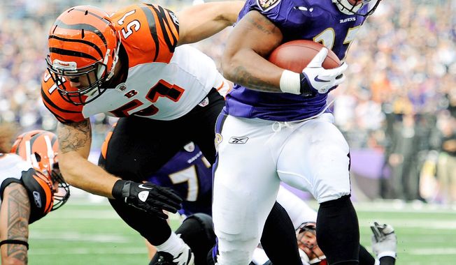 Baltimore running back Ray Rice runs past Cincinnati middle linebacker Dan Skuta during the second quarter for the first of his two touchdowns. Rice ran 20 times for 104 yards. (Associated Press)