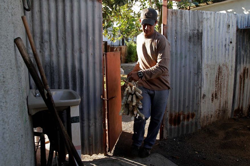 Alain Suarez carries a bundle of sugar cane to make juice called "guarapera" in Santa Isabel de Las Lajas in Cienfuegos province. "It's a way of having something that is all yours," he says. A pizza stand and sandwich stand have opened nearby. (Associated Press)