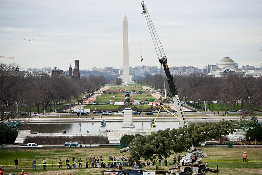 Workers with the architect of the Capitol erect a 65-foot Sierra white fir from California's Stanislaus National Forest that will become the U.S. Capitol Christmas tree in Washington on Monday, Nov. 28, 2011.
(T.J. Kirkpatrick/The Washington Times)
