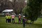 TREE_2453