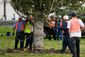 TREE_2454