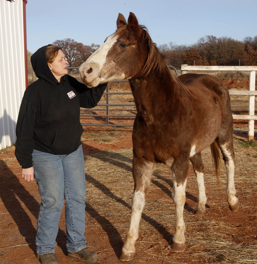 Cheri White Owl, founder of Horse Feathers Equine Rescue, is pictured with one of the 33 horses for which she cares in Guthrie, Okla., on Tuesday, Nov. 29, 2011. Ms. White Owl said she's seen more horse neglect during the recession, which coincided with the end of horse slaughtering in the U.S. (AP Photo/Sue Ogrocki)