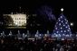 Obama_National_Christmas_#4.jpg