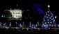 TREE_2545