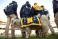 ARMYNAVY_1014.JPG
