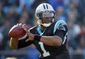 Falcons Panthers Foot_Hasc.jpg