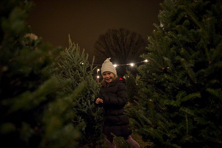 Julia Lielischkies, 6, of Washington runs through rows of Christmas trees as she joins her parents on Wednesday, Dec. 14, 2011, in the search for a tree at a lot operated by the Gheen family for the past 35 years at Wisconsin Avenue and Edmunds Street Northwest in Washington. Between Thanksgiving Day, when the lot opens, and Christmas Eve, the last day of business, this lot sells approximately 3,000 trees. (Rod Lamkey Jr./The Washington Times)