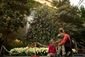 CHRISTMAS_9105