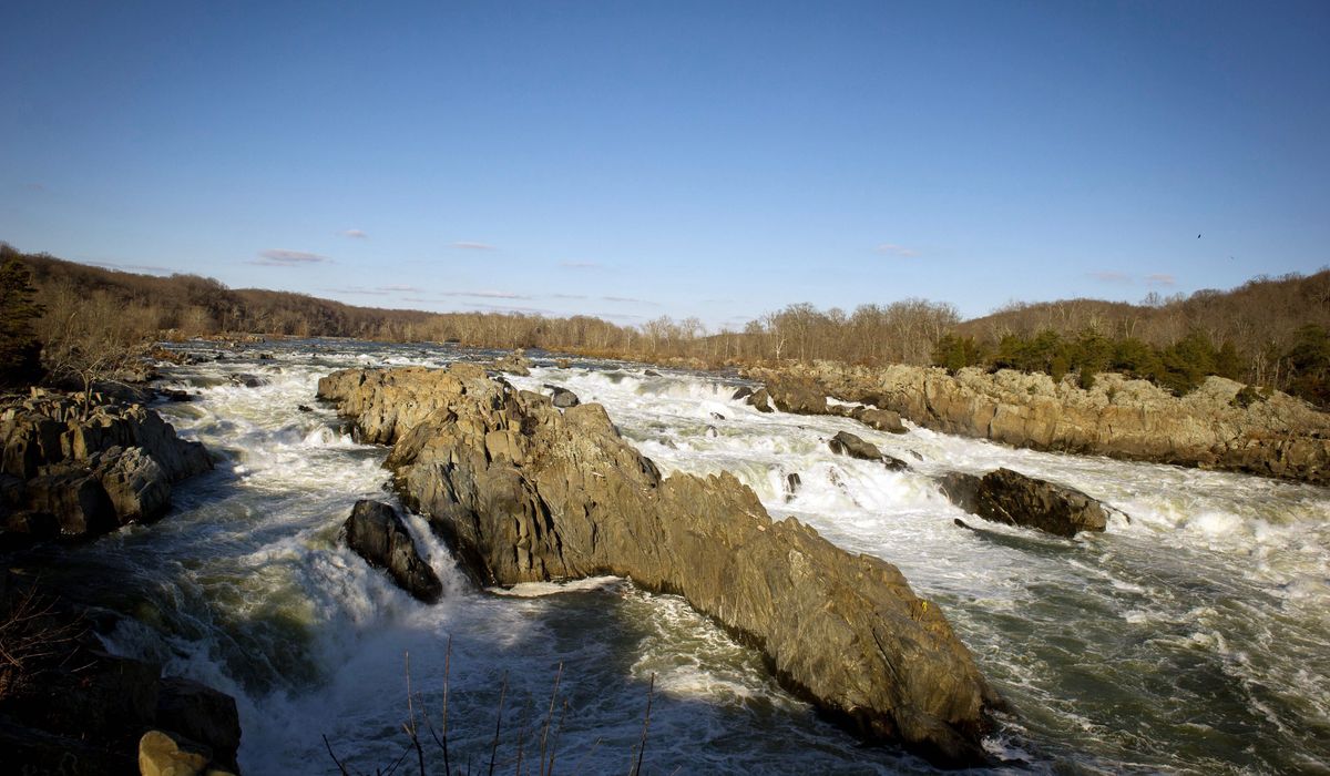 NextImg:Columbia University student drowns in Potomac during kayak trip