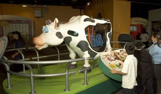 At the &quot;Animal Grossology&quot; exhibit at the National Geographic Museum, your child will learn that the cow — not his friend Jimmy — is the gassiest creature on Earth