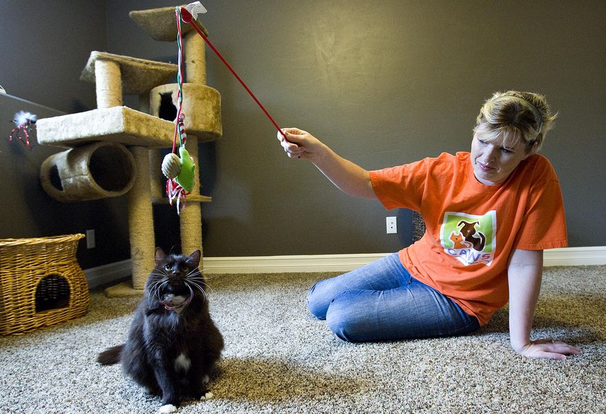Janita Coombs plays Oct. 16, 2011, with her cat, Andrea, at her home in Syracuse, Utah home. The Utah city may put an end to its gas chamber after Andrea survived a shelter’s two attempts to euthanize her. (Associated Press/The Salt Lake Tribune)