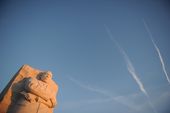 MLK_20120116_9371