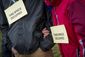 OCCUPY_01-1704