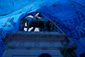 OCCUPY_20120130_003.jpg