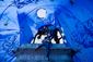 Occupy_20120130_9446