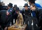 GROUNDHOG_20120202_9469