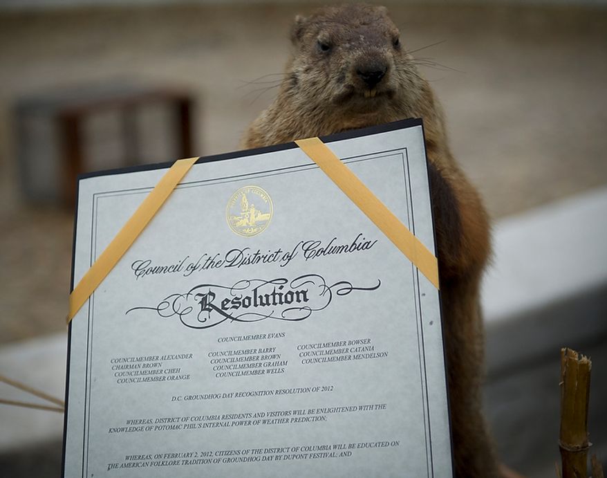 A copy of the proclamation declaring Thursday as "Potomac Phil Day" in the District of Columbia is on display during the inaugural Groundhog Day event at Dupont Circle in Washington on Thursday, Feb. 2, 2012. (Rod Lamkey Jr./The Washington Times)