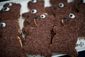 GROUNDHOG_20120202_9477