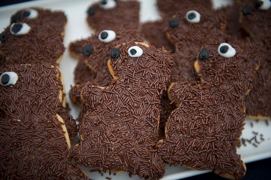 Cookies in the likeness of a groundhog are available for attendees at the inaugural Groundhog Day event at Dupont Circle in Washington on Thursday, Feb. 2, 2012. (Rod Lamkey Jr./The Washington Times)