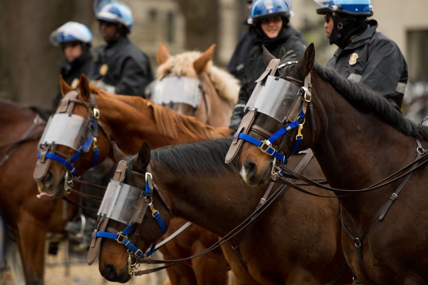 Park police horses wear face protection during a raid on the Occupy encampment at McPherson Square, Washington, D.C., Saturday, Feb. 4, 2012. Police and protesters clashed throughout the day as tents and camping equipment were removed by park police and maintenance officials, some dressed in hazmat suits.(Andrew Harnik/The Washington Times)