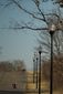 WARRIORS_20120311_004