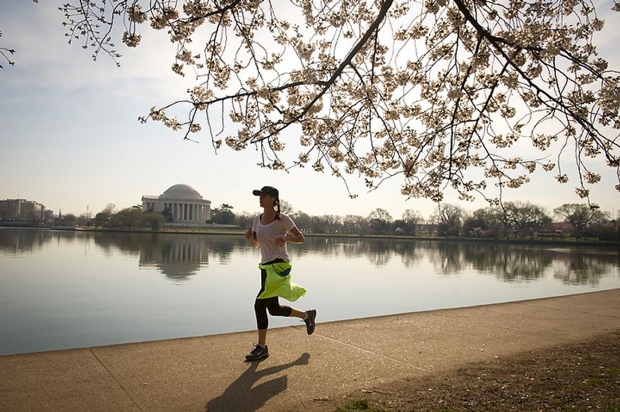 With the Jefferson Memorial in the distance across the water, a woman runs along the Tidal Basin, passing under low hanging branches as the cherry blossoms make an early arrival in Washington, D.C., Thursday, March 15, 2012. (Rod Lamkey Jr/The Washington Times)