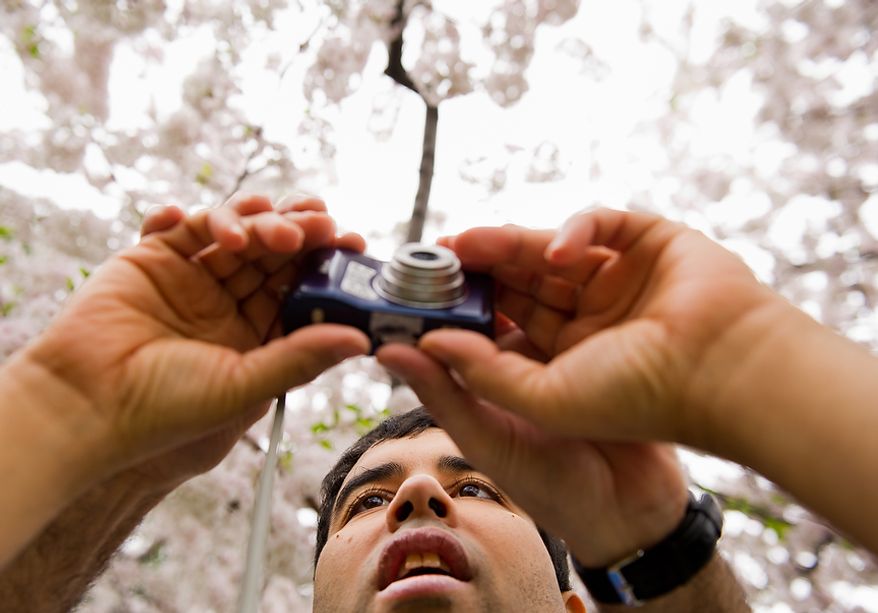 Staff member Renee Gonzales with Community Services for Autistic Adults and Children, based in Montgomery Village, Md., helps Autistic adult Jimmie R., pictured, take photographs of the Cherry Blossoms along the Tidal Basin, Washington, D.C., Wednesday, March 21, 2012. The “InFocus Project†is a way for adults with autism to develop forms of self expression and social skills while producing work that has been featured in art shows, given to donors to C.S.A.A.C., and sold on an online store. (Andrew Harnik/The Washington Times)