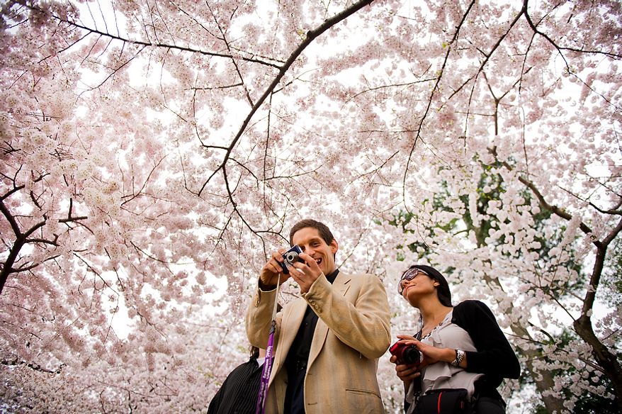 Autistic adult James L., center, with Community Services for Autistic Adults and Children, based in Montgomery Village, Md., is accompanied by staff member Dide Cimen, right, as he takes photographs of the Cherry Blossoms along the Tidal Basin, Washington, D.C., Wednesday, March 21, 2012. The “InFocus Project†is a way for adults with autism to develop forms of self expression and social skills while producing work that has been featured in art shows, given to donors to C.S.A.A.C., and sold on an online store. (Andrew Harnik/The Washington Times)