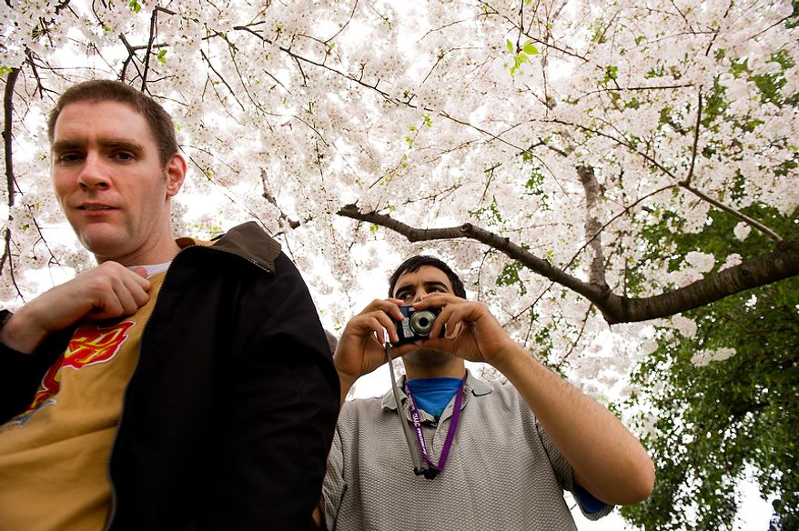 Autistic adults Matt D., left, and Jimmie R., right, with Community Services for Autistic Adults and Children, based in Montgomery Village, Md., take photographs of the Cherry Blossoms along the Tidal Basin, Washington, D.C., Wednesday, March 21, 2012. The “InFocus Project†is a way for adults with autism to develop forms of self expression and social skills while producing work that has been featured in art shows, given to donors to C.S.A.A.C., and sold on an online store. (Andrew Harnik/The Washington Times)