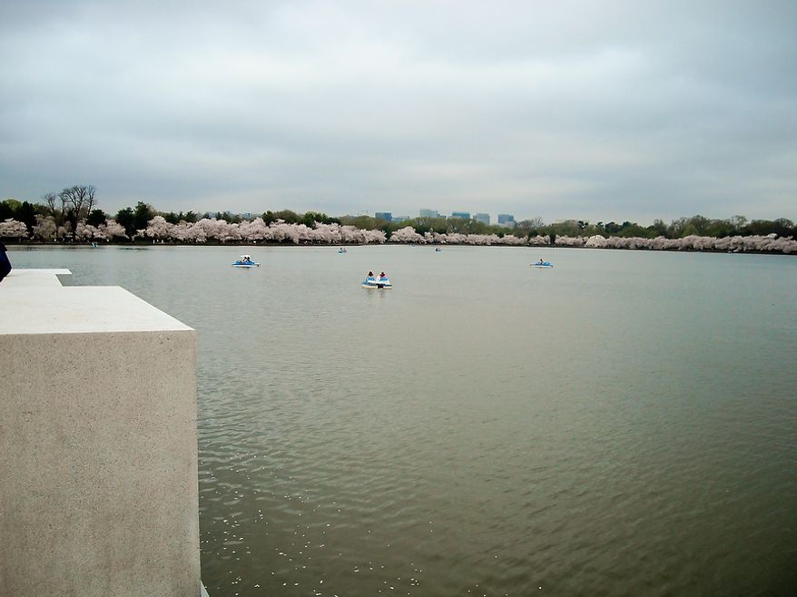 Photographs of the Cherry Blossoms along the Tidal Basin taken by Brian D., an autistic adult with Community Services for Autistic Adults and Children, based in Montgomery Village, Md., Washington, D.C., Wednesday, March 21, 2012. Brian is part of the “InFocus Project†which is a way for adults with autism to develop forms of self expression and social skills while producing work that has been featured in art shows, given to donors to C.S.A.A.C., and sold on an online store. (Brian D./InFocus Project)