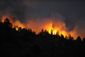 Wilfires Colorado_Live.jpg