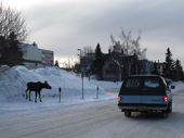 US-Anchorage-Snow_Lea.jpg