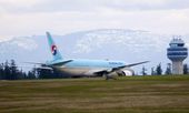Emergency Landing_Lea(1).jpg