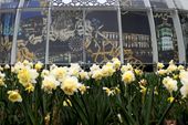 20120412-170814-pic-617878155.jpg