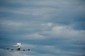 shuttle_260