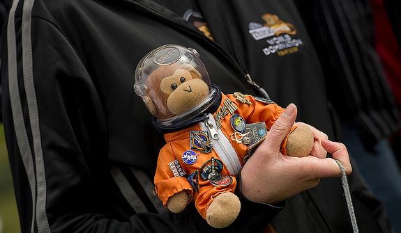 &quot;Timmy&quot; the monkey joined the Think Geek crew as they watched the space shuttle Discovery fly past the Smithsonian Air and Space Museum&#39;s Udvar-Hazy Center in Chantilly, Va., on Tuesday, April 17, 2012. Timmy has been to at least five shuttle launches. (Barbara L. Salisbury/The Washington Times)