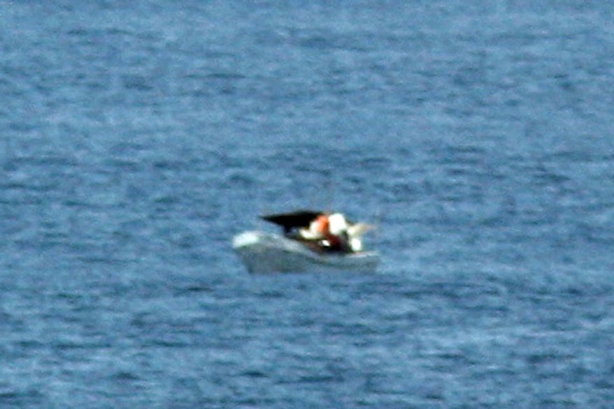 This photo from March 10, 2012, provided by Jeff Gilligan, a passenger of the American-based cruise ship Star Princess, shows a fishing vessel adrift in the Pacific Ocean off the Galapagos Islands. Gilligan and another American aboard the cruise ship, in the same area, believe they saw the fishermen adrift at sea and they alerted the crew, but the luxury liner continued on its course. (Associated Press)