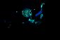 GRIFFIN_20120424_156