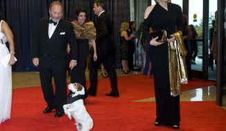Uggie, the canine star of the film &quot;The Artist,&quot; walks the red carpet with Diane Sawyer at the White House Correspondents&#39; Association dinner on Saturday, April 28, 2012, in Washington. Uggie was a guest of The Washington Times. (AP Photo/Kevin Wolf)