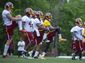 REDSKINS_MINICAMP050606